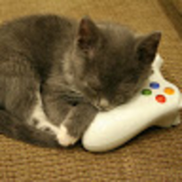 craftykitty14